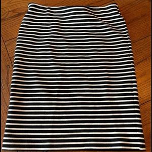 NWT Loft Pencil Skirt